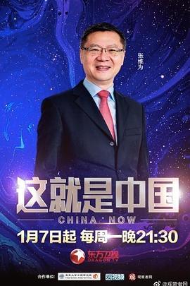 精品中文人妻少妇